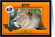 Halloween Barbary Lion card