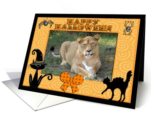 Halloween Barbary Lion card (482371)