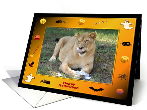 Halloween Barbary Lion card (482372)