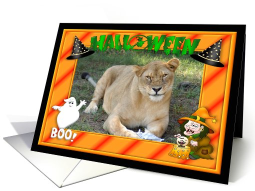 Halloween Barbary Lion card (482373)