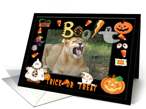 Halloween Barbary Lion card (482376)