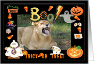 Halloween Barbary...