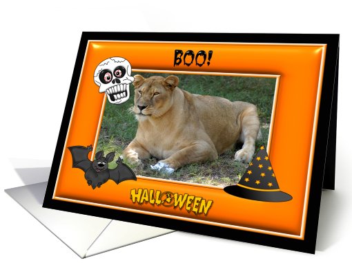 Halloween Barbary Lion card (482377)