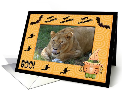 Halloween Barbary Lion card (482384)