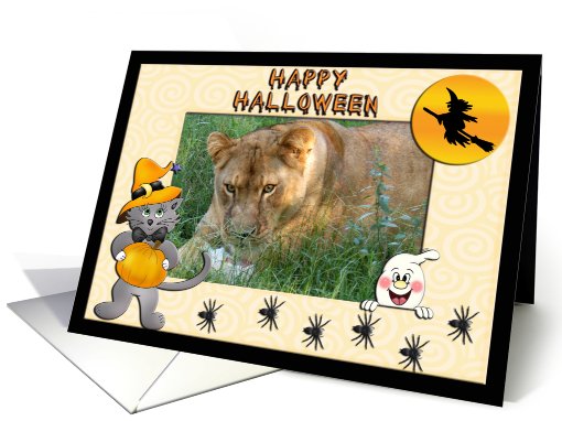 Halloween Barbary Lion card (482388)