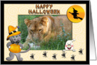 Halloween Barbary Lion card