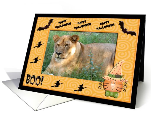 Halloween Barbary Lion card (482390)