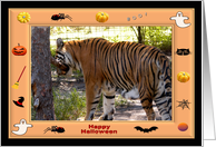 Halloween Bengal Tiger card