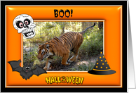 Halloween Bengal Tiger card