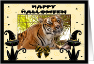 Halloween Bengal Tiger card