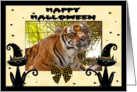 Halloween Bengal Tiger card
