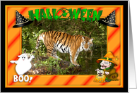 Halloween Bengal...