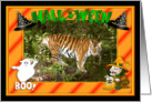 Halloween Bengal Tiger card