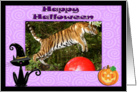 Halloween Bengal Tiger card