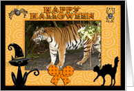 Halloween Bengal Tiger card