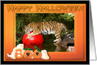 Halloween Bengal Tiger card