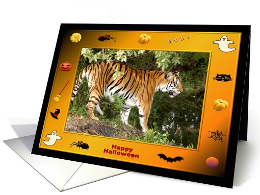 Halloween Bengal Tiger card (482664)