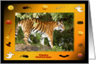 Halloween Bengal Tiger card