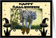 Halloween White Tiger card