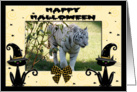 Halloween White Tiger card