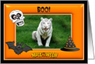 Halloween White Tiger card