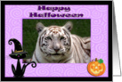 Halloween White Tiger card