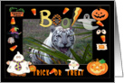 Halloween White Tiger card