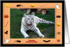 Halloween White Tiger card