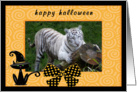 Halloween White Tiger card