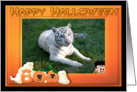 Halloween White Tiger card