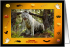 Halloween White Tiger card