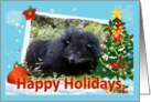 Bear Cat Happy Holidays Card