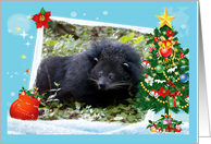 Bear Cat Happy Holidays Card