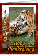 Tigers Thanksgiving Card