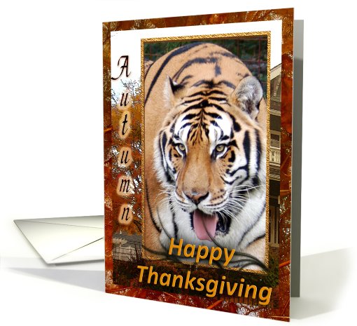 Tigers Thanksgiving card (511340)