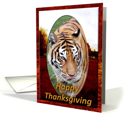 Tigers Thanksgiving card (511341)