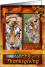 Tigers Thanksgiving Card