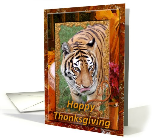 Tigers Thanksgiving card (511347)