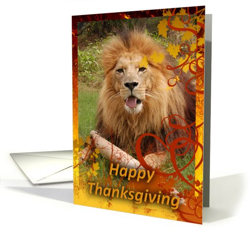 African Lion Thanksgiving card (511354)