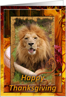 African Lion Thanksgiving Card