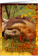 African Lion Thanksgiving Card