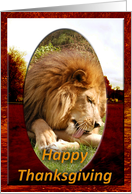 African Lion Thanksgiving Card