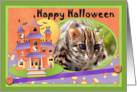Bengal Cat Halloween Card