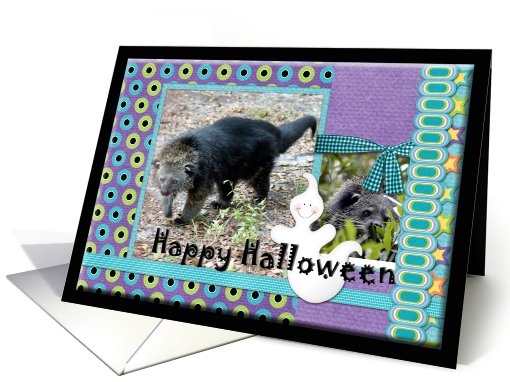 Bearcat Halloween card (511408)