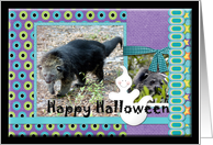 Bearcat Halloween Card