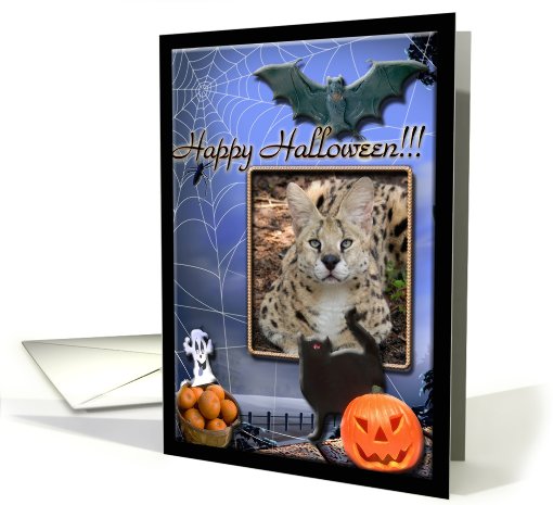 African Serval Halloween card (511423)