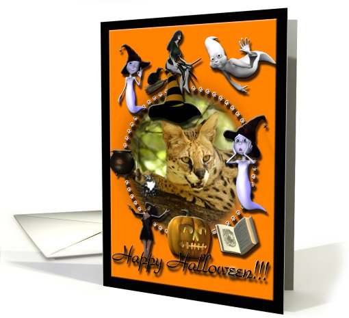 African Serval Halloween card (511427)