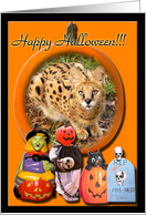 African Serval Halloween Card