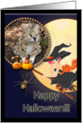 African Serval Halloween Card