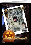 Snow Leopard Halloween Card